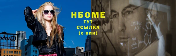 хмурый Алексин