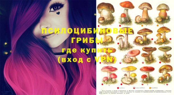 дмт Алзамай
