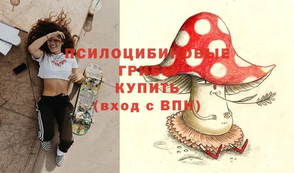 хмурый Алексин