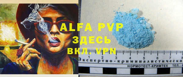 хмурый Алексин