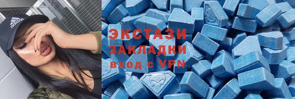 хмурый Алексин