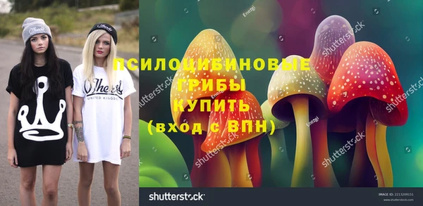 хмурый Алексин