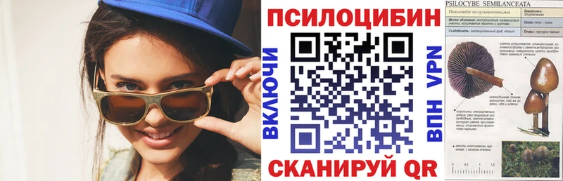 Галлюциногенные грибы MAGIC MUSHROOMS  магазин продажи наркотиков  Сельцо 